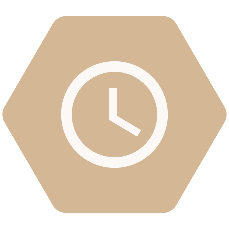 Timeline icon